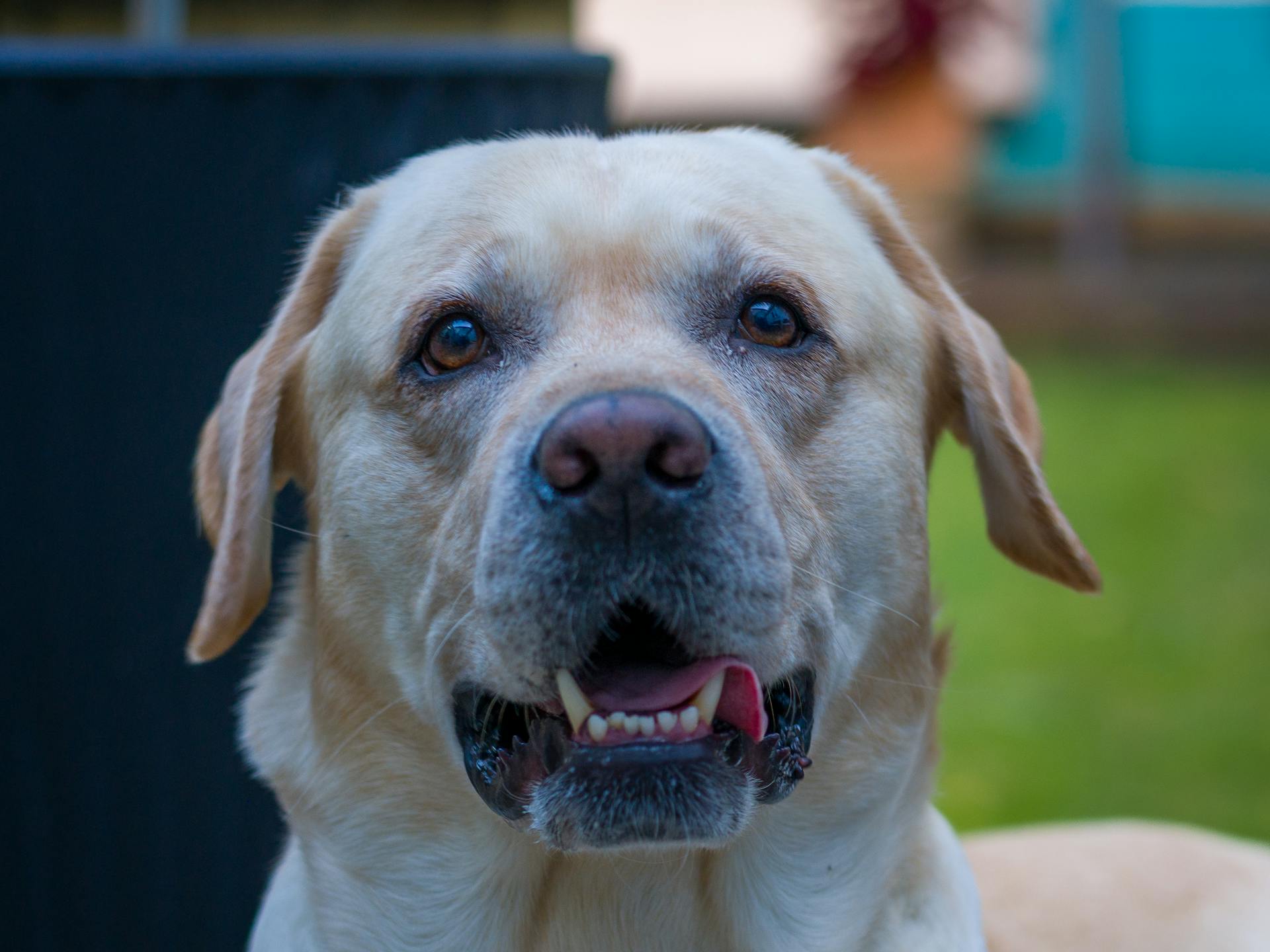 pexels ar kay 768552413 33844767